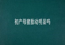 初产母猪胎动明显吗？