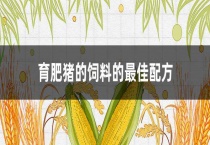 育肥猪的饲料的最佳配方