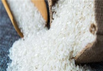 稻米出口国有哪三个