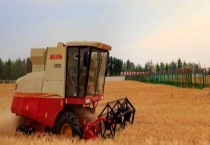 收割机尾筛跑粮怎么办？