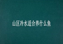 山区冷水适合养什么鱼
