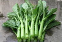 万年青菜是什么菜