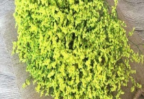 水晶草和满天星的区别？