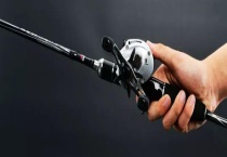 路亚竿是什么？