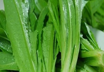 油麦菜是否可以生吃 附油麦菜的食用多久？
