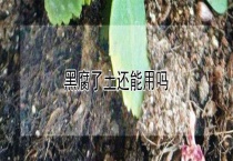 黑腐了土还能用吗？