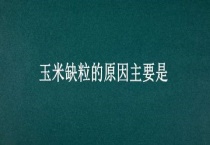 玉米缺粒的原因主要是