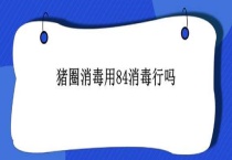 猪圈消毒用84消毒行吗？