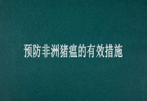 预防非洲猪瘟的有效措施