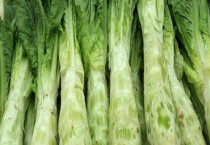 莴笋产地在什么地方 有什么营养