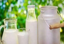 过期牛奶可以浇花吗？