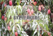 春末夏初的果树有哪些？