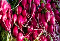 甜菜可以生吃吗 常见生吃法有哪些？