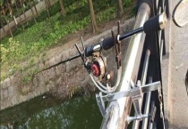 筏竿是什么意思 筏竿有什么特点