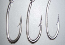 伊豆和伊势尼大小对比 附其适钓鱼种