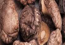 金钱菇与香菇的区别？