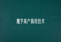 魔芋高产栽培技术