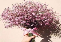 满天星怎么发光