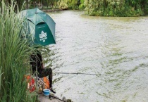 夏季野钓鲫鱼技巧及注意事项 饵料怎样选用