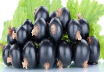 黑加仑具体的功效作用有哪些？可以用来泡水喝吗？