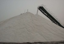 树下埋2斤盐树会死么