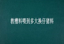 教槽料喂到多大换仔猪料