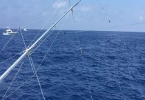 海钓用什么鱼饵？常用钓法有哪些？