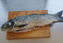 草鱼有寄生虫吗？