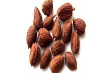 砂仁又被称作什么 砂仁的价格如何