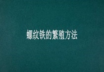 螺纹铁的繁殖多久？