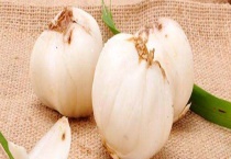 鲜百合球茎是什么？