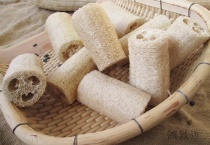 丝瓜络是什么？