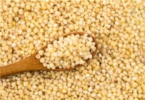 100斤高粱能酿多少酒