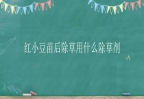 红小豆苗后除草用什么除草剂