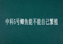 中科5号鲫鱼能不能自己繁殖