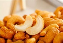 强肾果树在北方能种植吗？