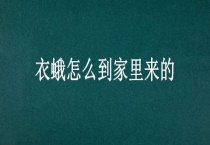 衣蛾怎么到家里来的