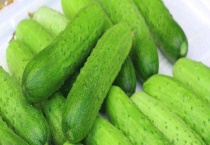 山黄瓜能生吃吗 吃山黄瓜有什么好处 附黄瓜的价格