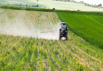 农业产业化的基本特征 农业产业化的基本思路