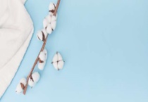 棉花杆有什么用途