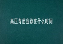 高压育苗应该在什么时间