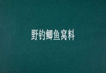 野钓鲫鱼窝料