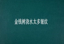 金钱树浇水太多皱纹
