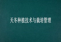 天冬种植技术与栽培管理