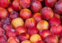 李子怎样保存的时间长