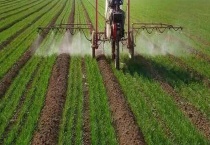 氯酯磺草胺可除哪些草 附其使用多久？