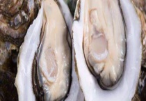 生蚝的繁殖方法 生蚝有什么生活习性