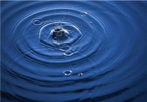 池塘水发黑快速处理多久？