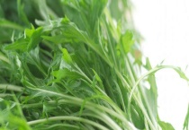 野腊菜的学名叫什么？