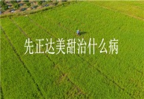 先正达美甜治什么病